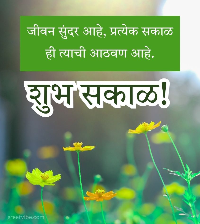 Good Morning Images in Marathi With Flowers