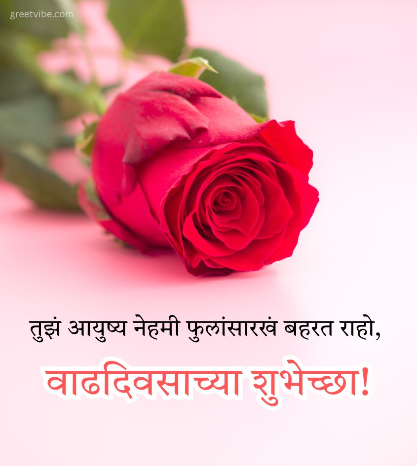 Marathi Birthday Greetings for Wife with Rose