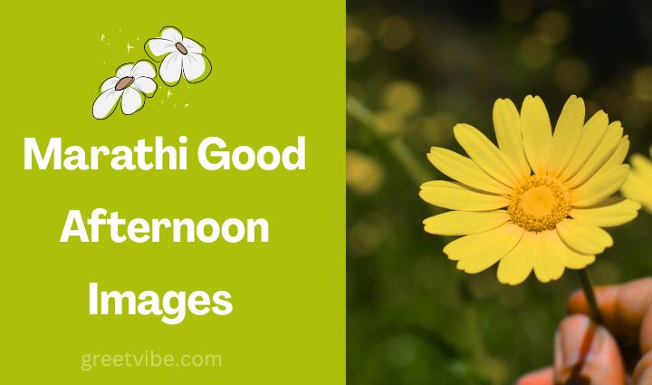 Good Afternoon Images in Marathi