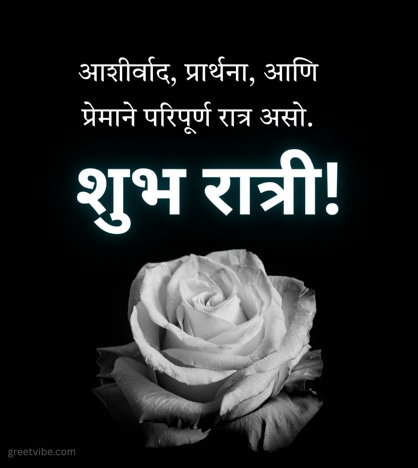 Marathi Good Night Pic with Rose Flower