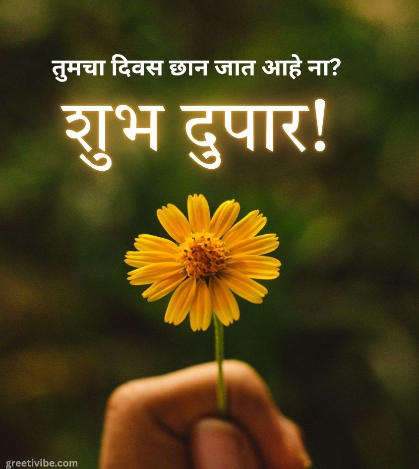 Good Afternoon Pics in Marathi with Flower
