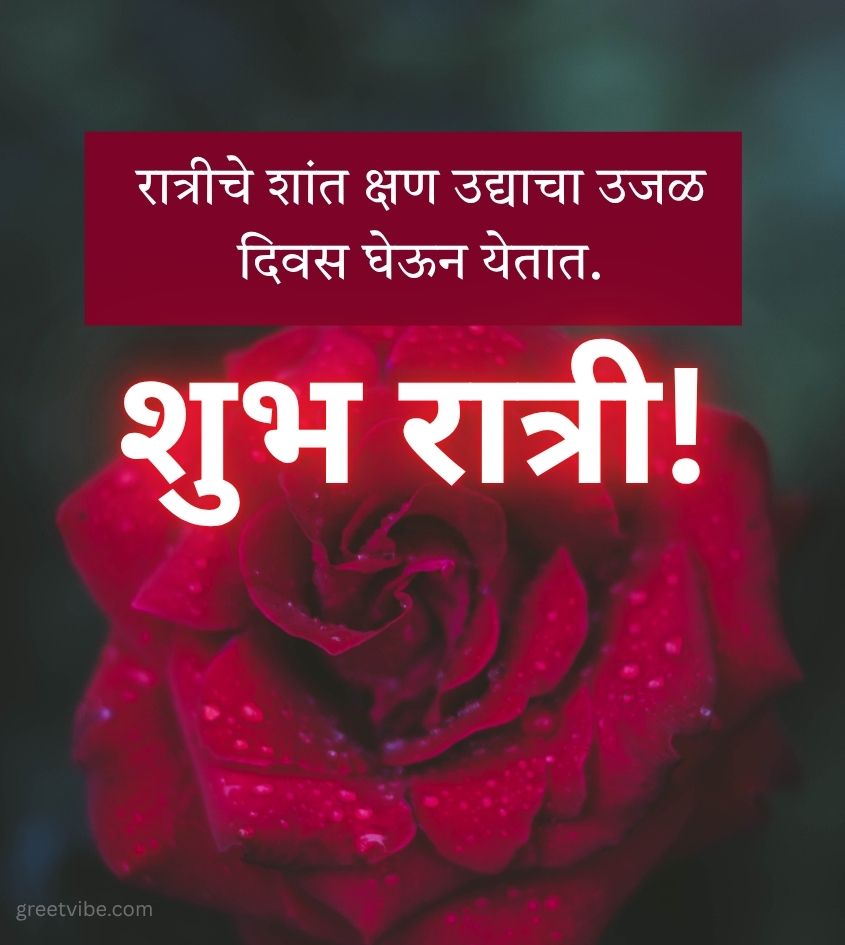 Good Night Marathi Images with Rose Flower for Her