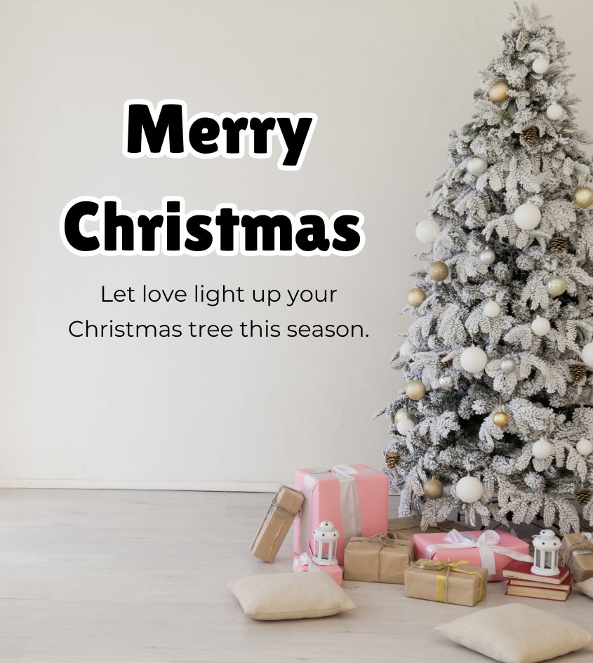 Merry Christmas Wishes for Friends