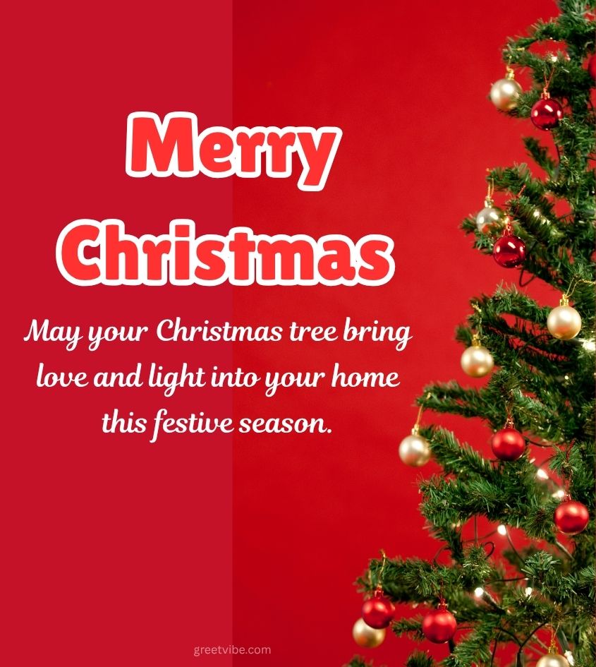 Merry Christmas Greetings with Christmas Tree for Status