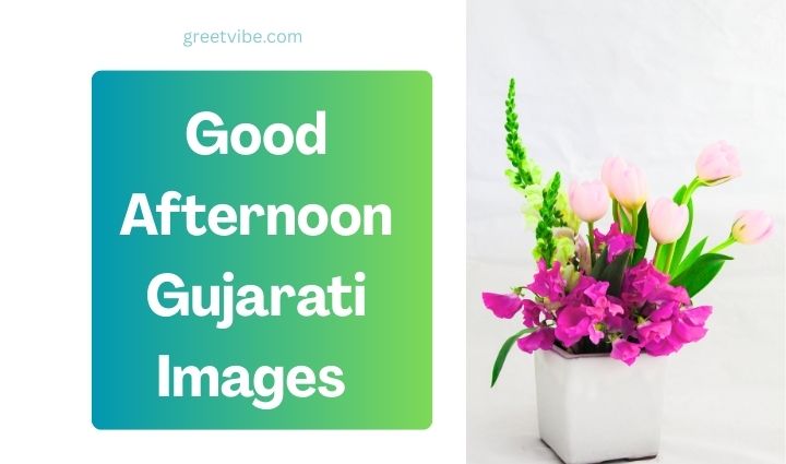 Gujarati Good Afternoon Images