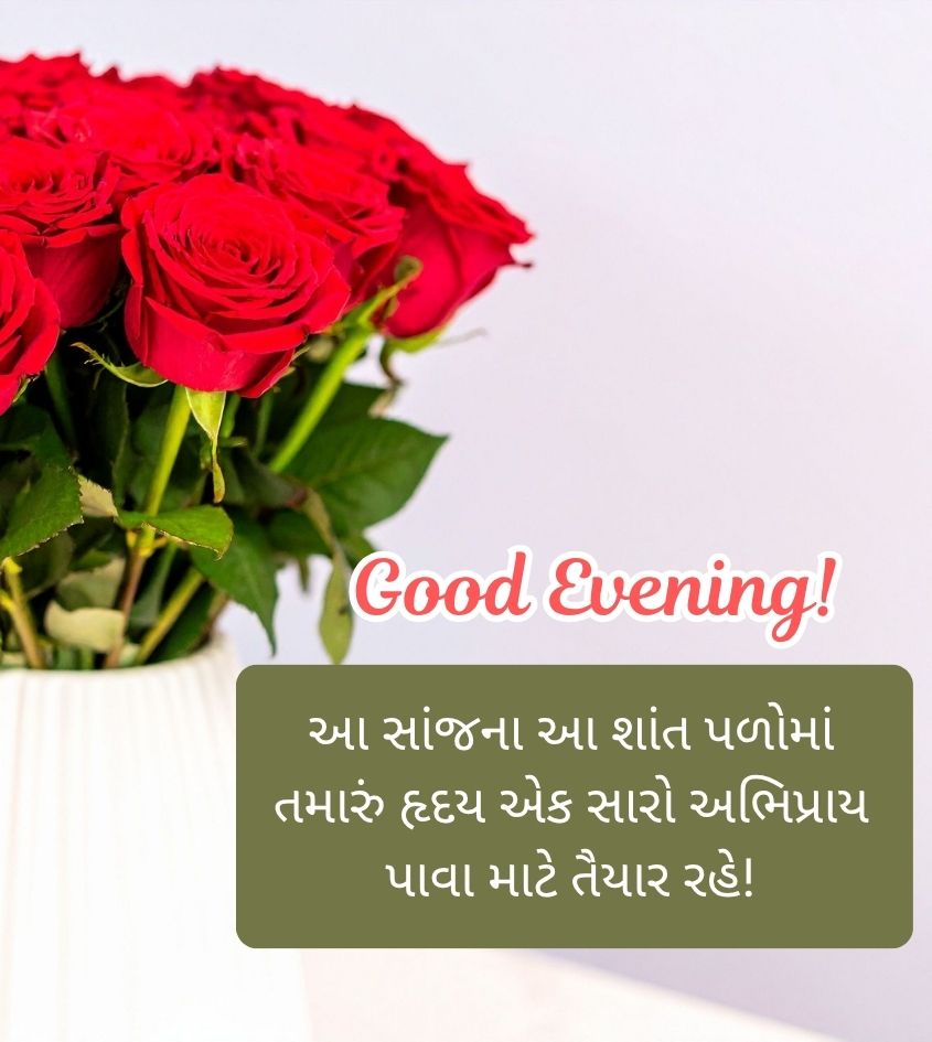 Good Evening Wishes in Gujarati with Rose