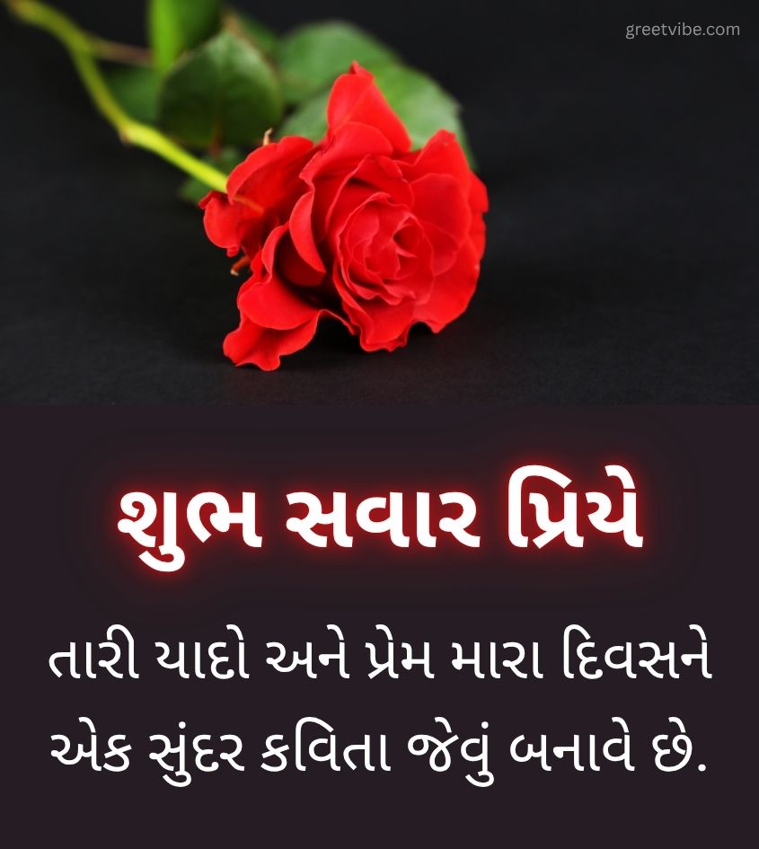 Romantic Good Morning Images in Gujarati with Rose