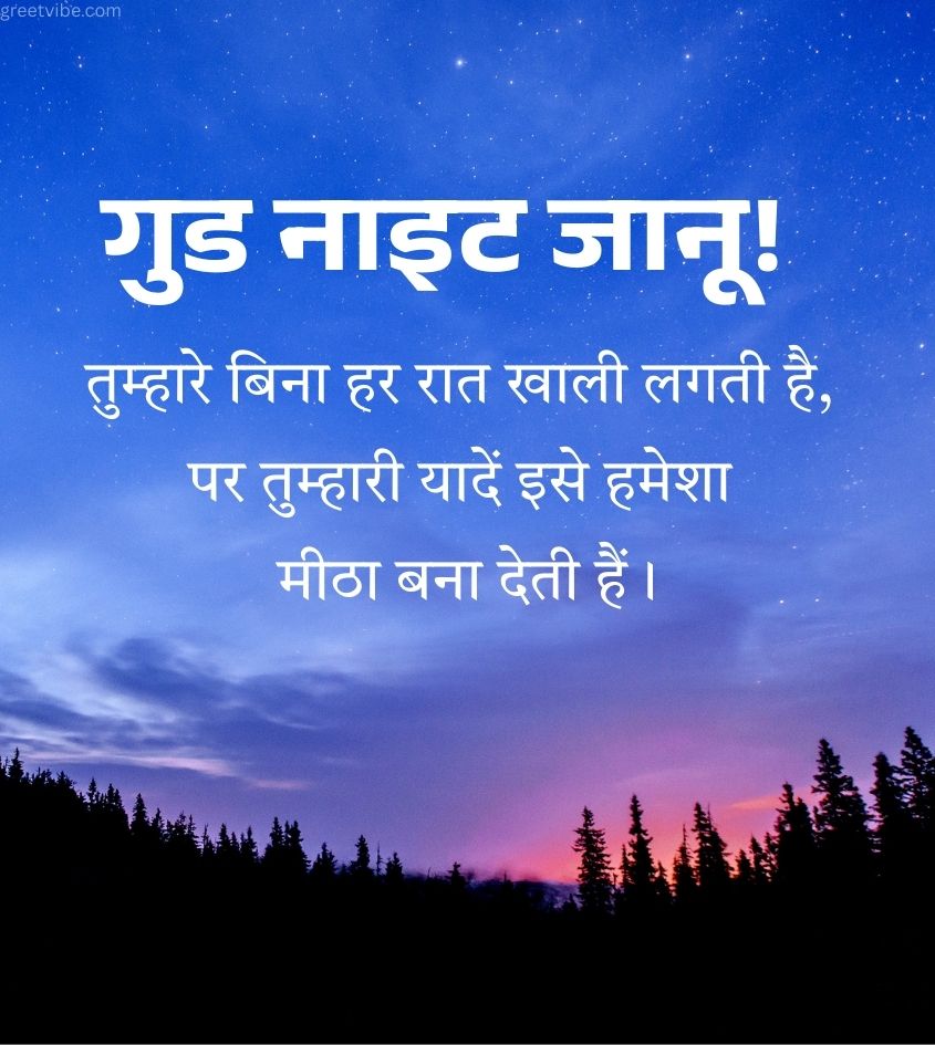 Romantic Good Night Wishes in Hindi for Lover