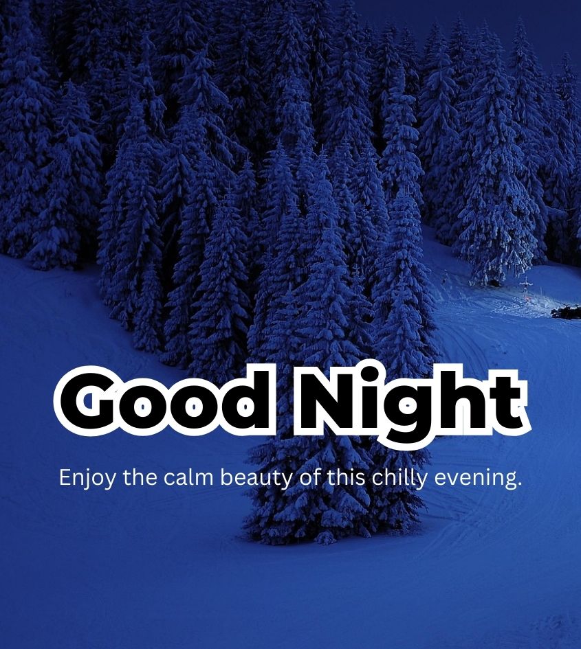 Good Night Quotes with Winter Nature for Status