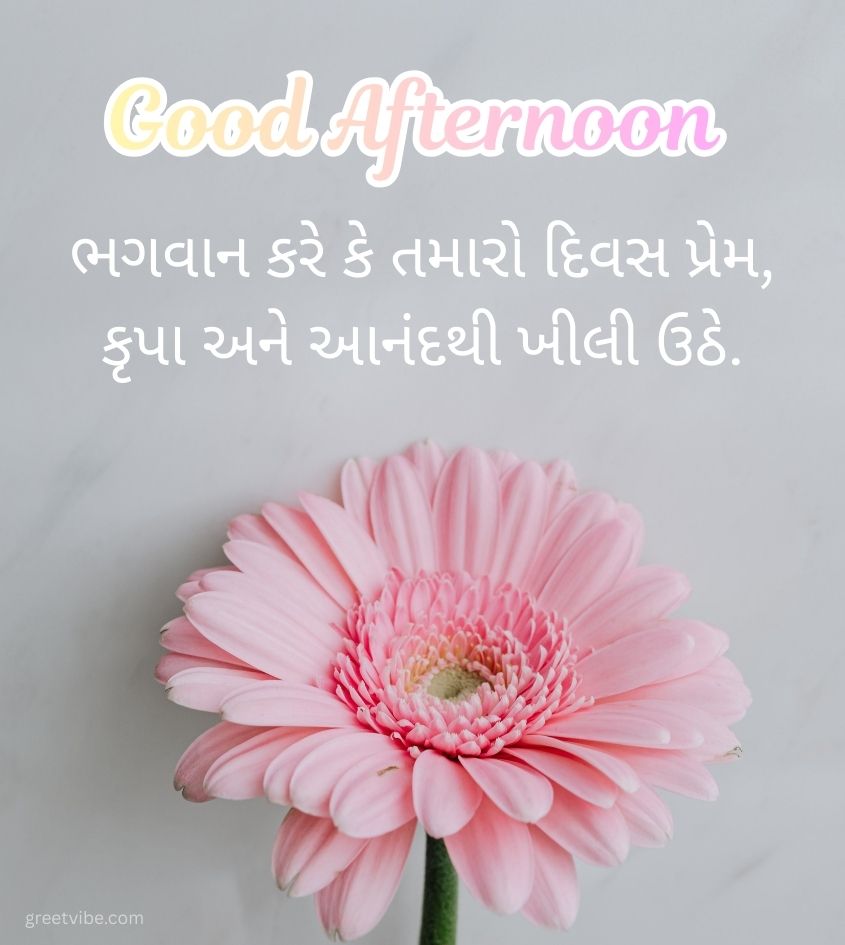 Gujarati Good Afternoon Wishes with Flowers
