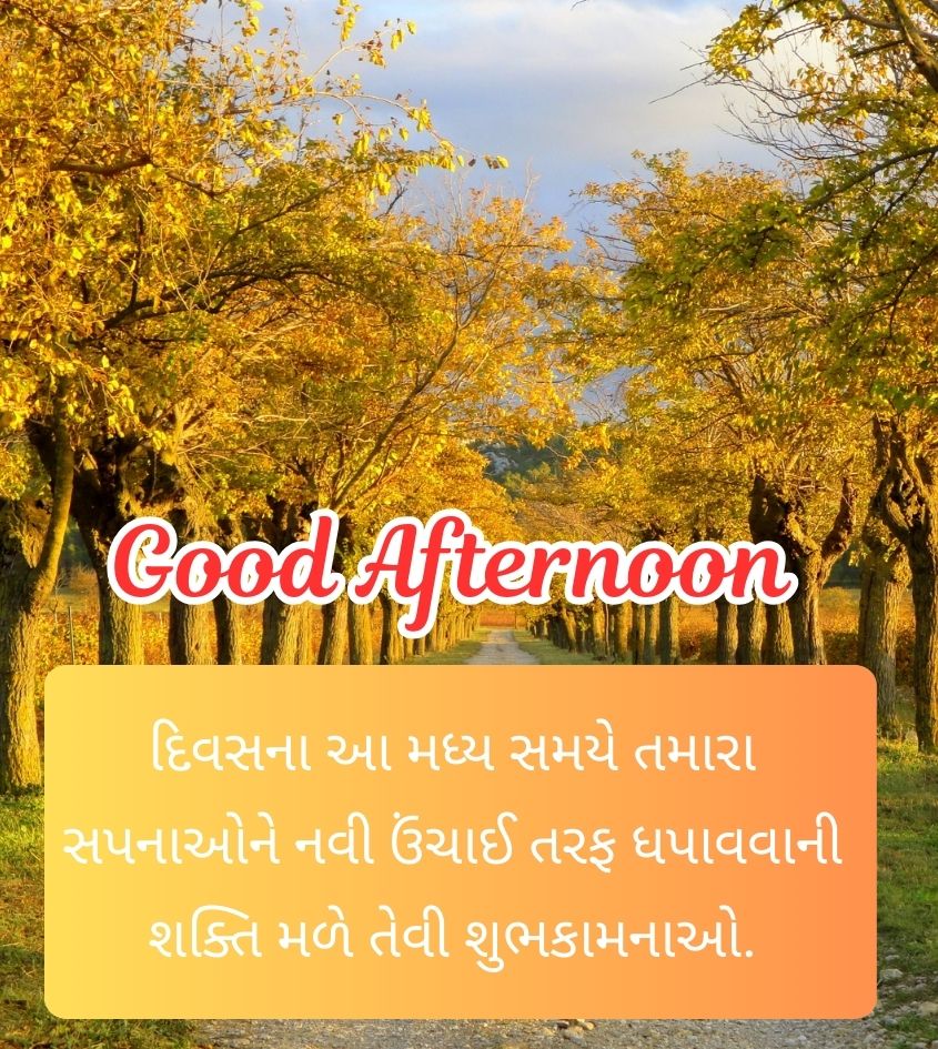 Good Afternoon Gujarati Quotes
