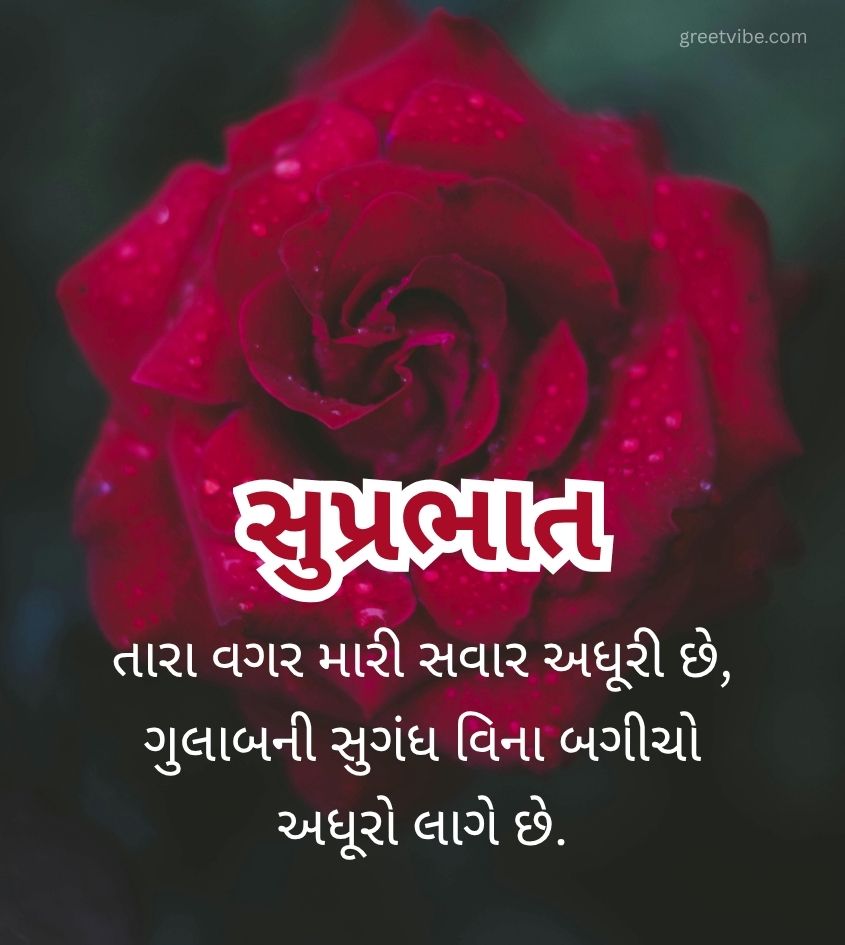 Good Morning Wishes in Gujarati with Rose