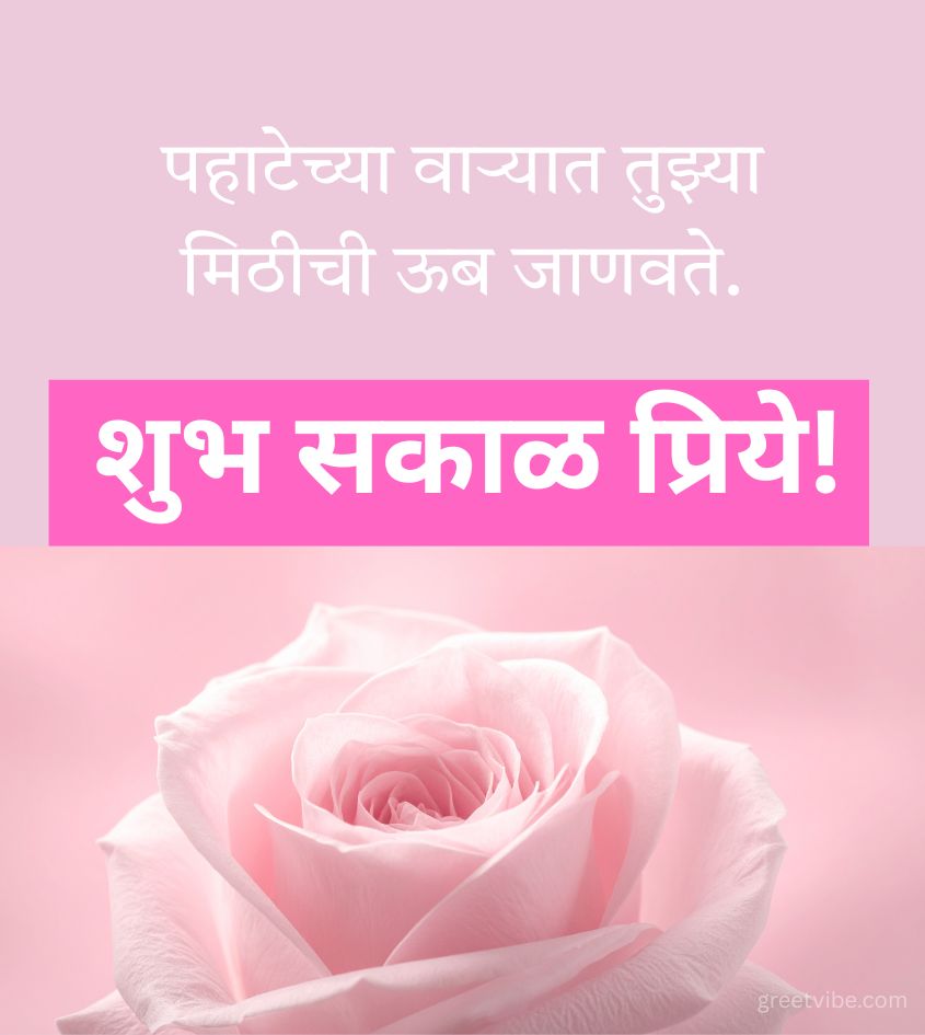 Love Good Morning Wishes in Marathi with Rose