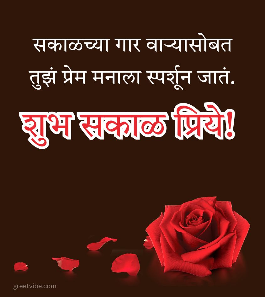 Marathi Love Good Morning Flowers with Rose