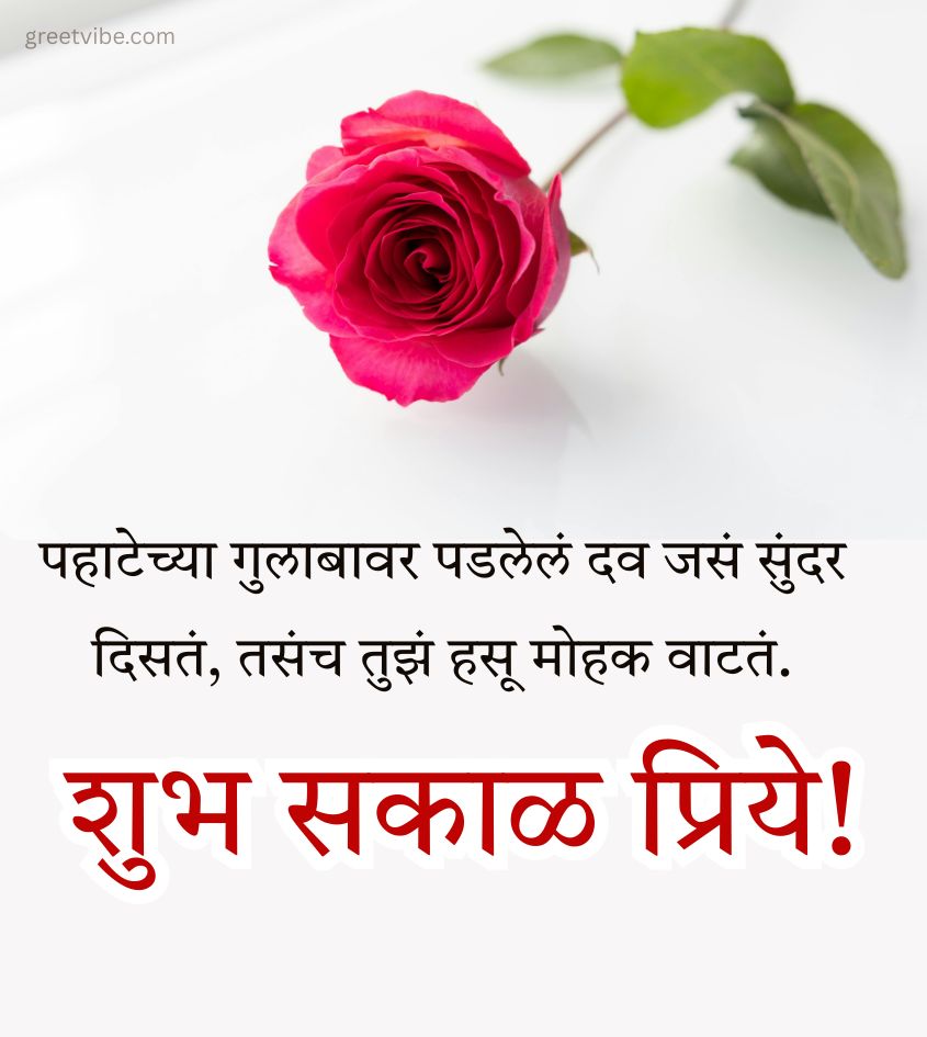 Marathi Good Morning Pics with Rose