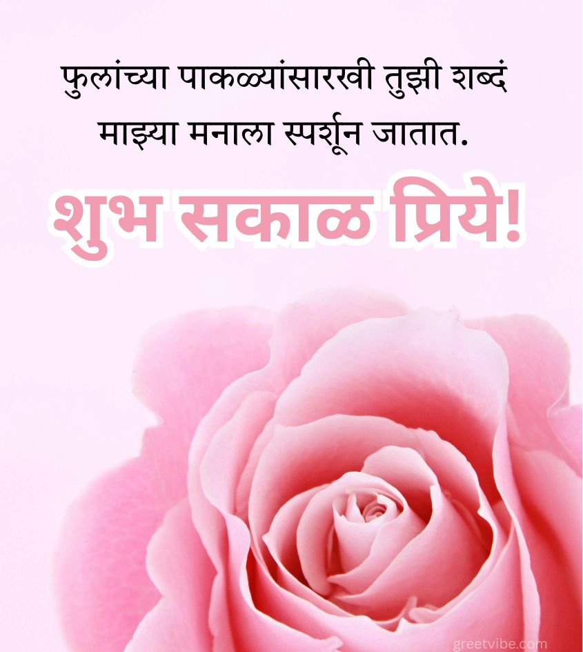 Romantic Good Morning Marathi Images with Rose
