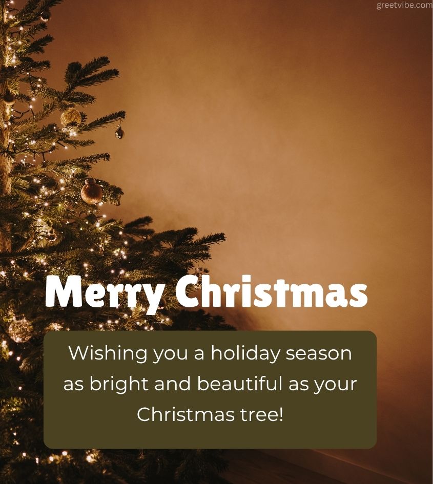 Christmas Tree with Merry Christmas Pics