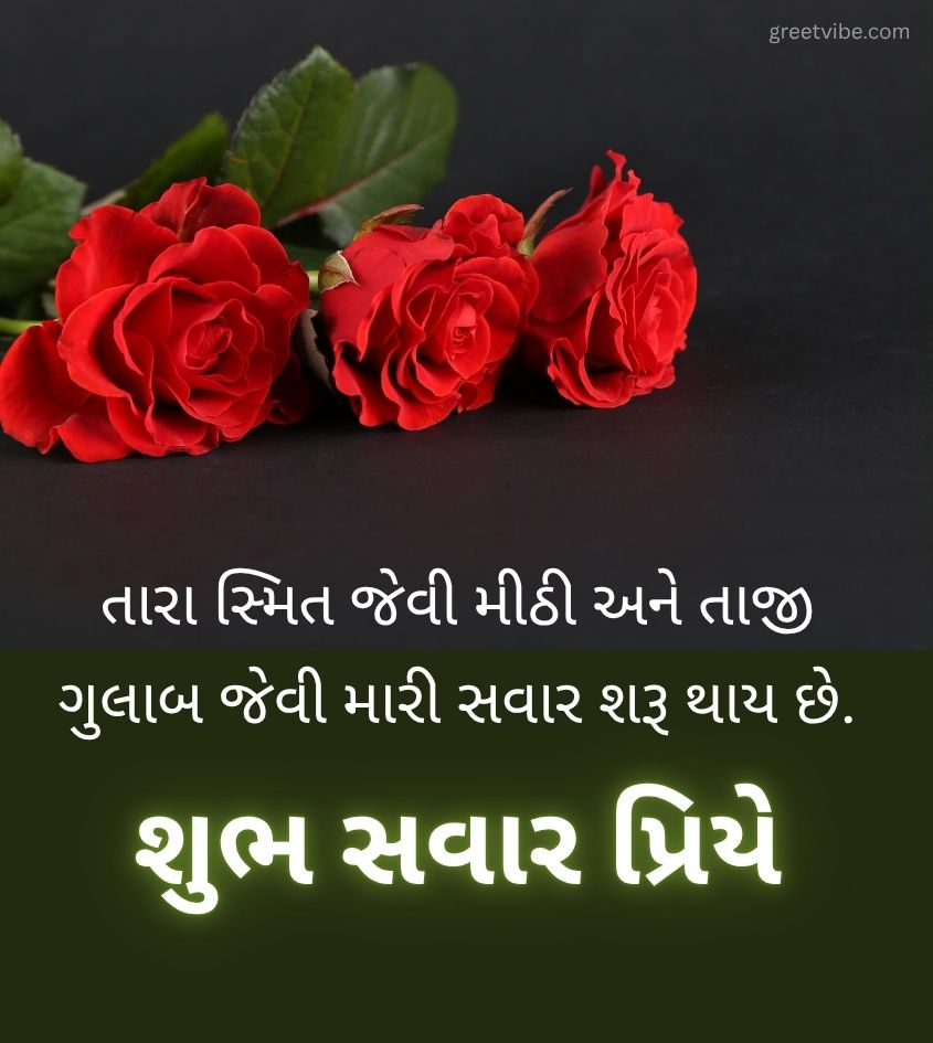 Love Good Morning Wishes in Gujarati with Red Rose