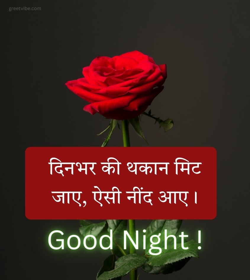  Good Night Love Images Hindi with Rose