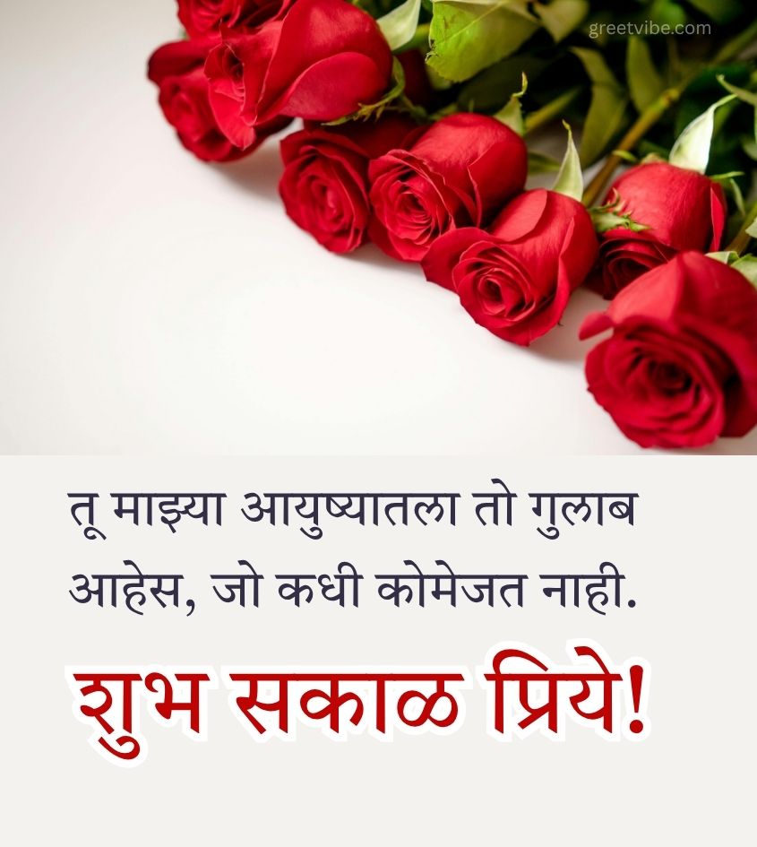 Love Good Morning Pics in Marathi with Beautiful Roses