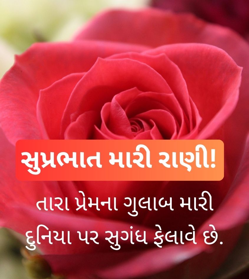 Gujarati Good Morning Greetings Love