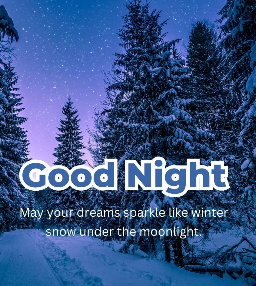 Winter Season Good Night Quotes for Status