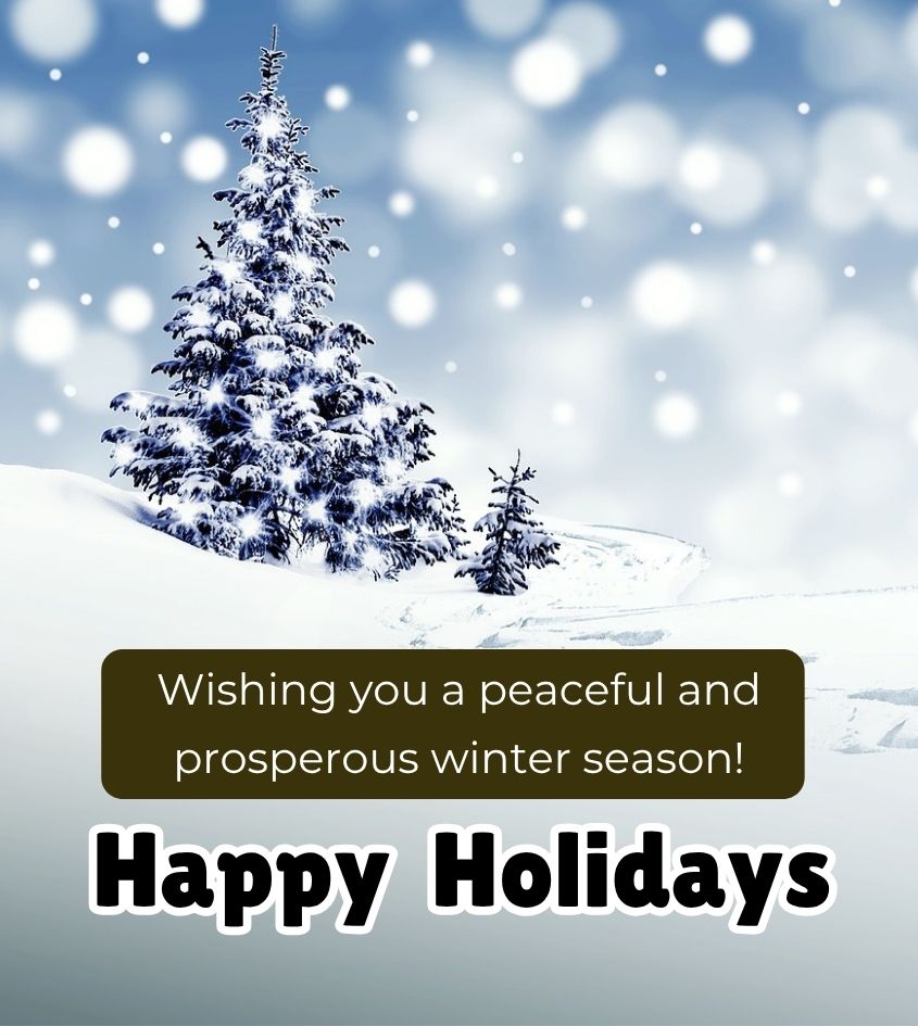 Happy Winter Holidays Greetings for Status