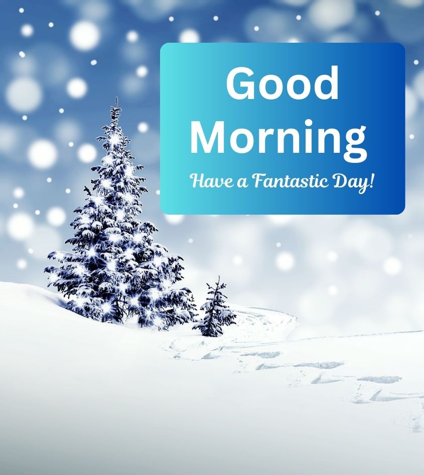 Good Morning Winter Images