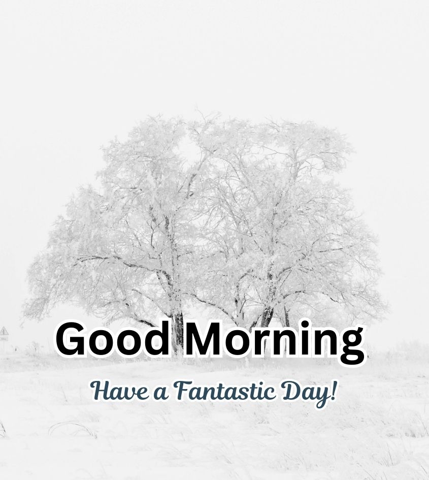 Winter Snowfall with Good Morning Greetings