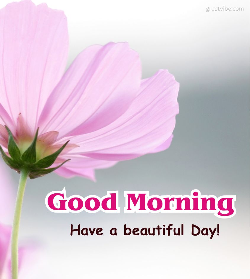 Beautiful Good Morning Flower Images