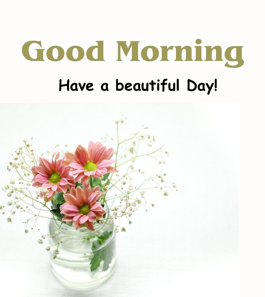 Good Morning Flower Images