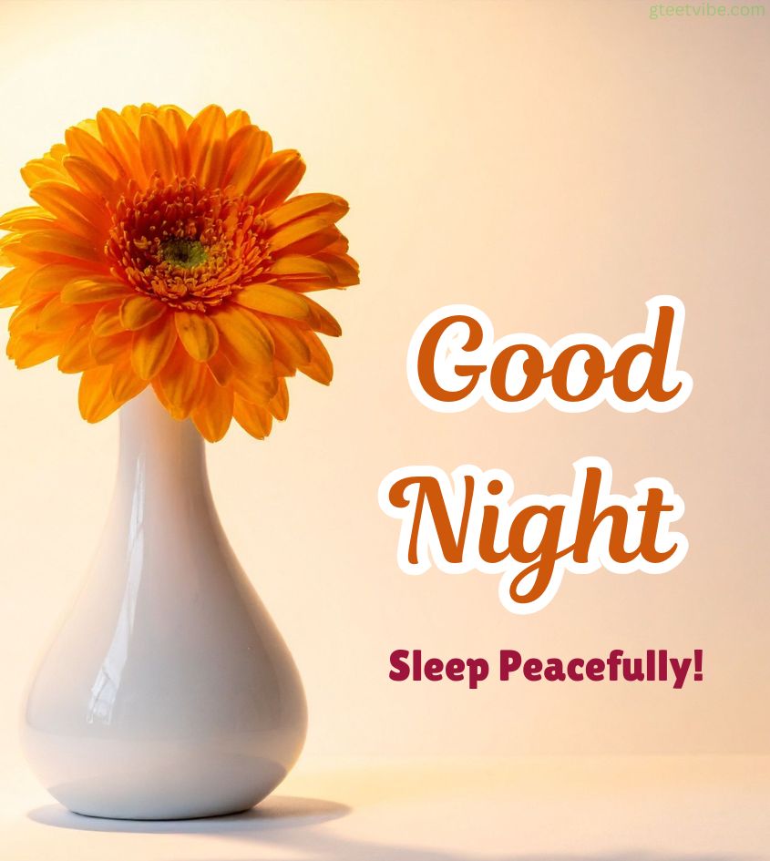 Good Night Flower Images with Lovely Quotes