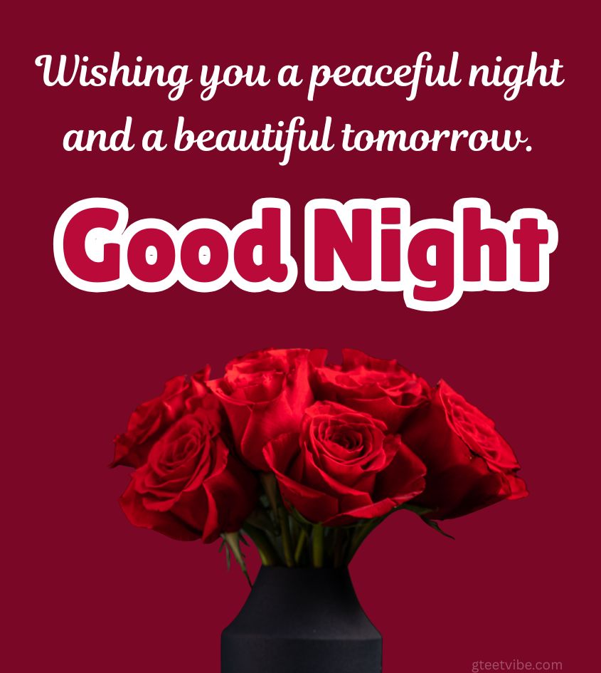 Good Night Rose Flower Images with Lovely Quotes