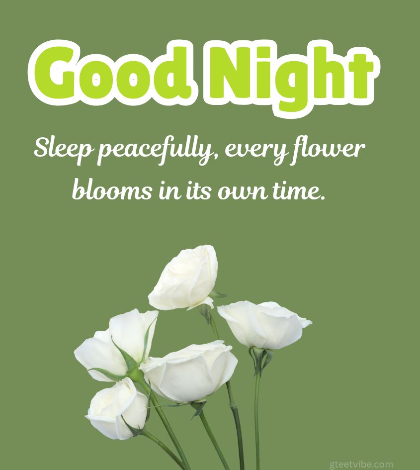 Good Night Flower Images with Lovely Quotes