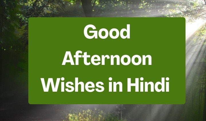 Good Afternoon Images in Hindi