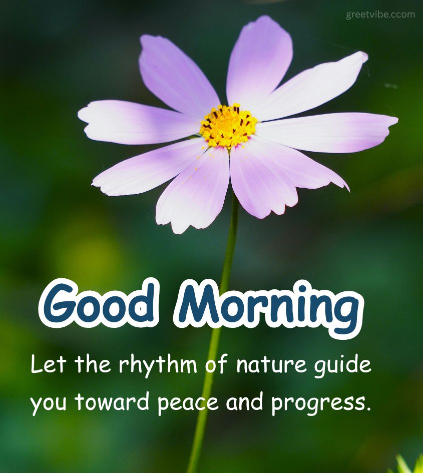 Good Morning Nature Images for Status