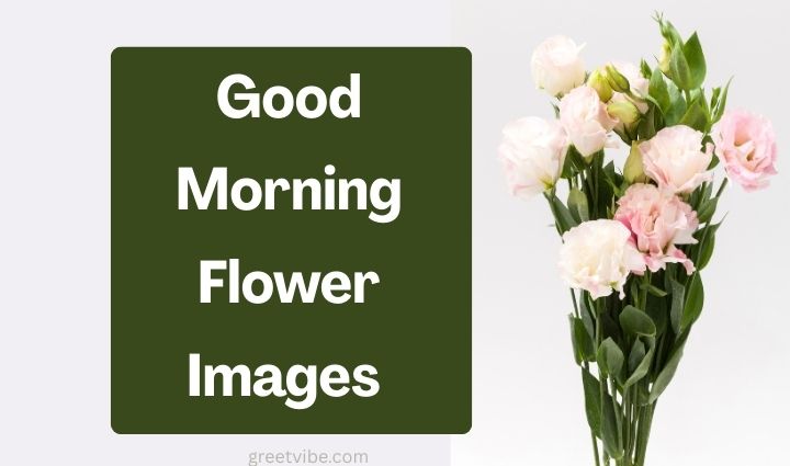 Good Morning Flower Images
