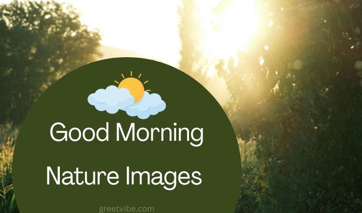 Good Morning Nature Images