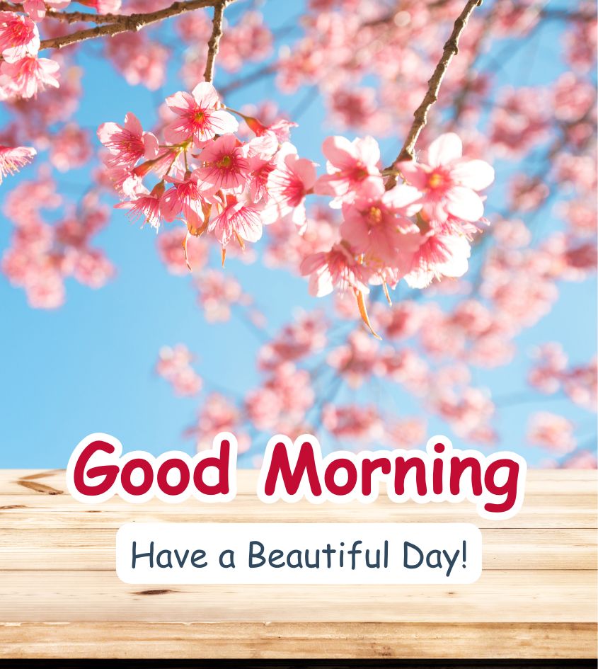 Good Morning Nature Images for Status