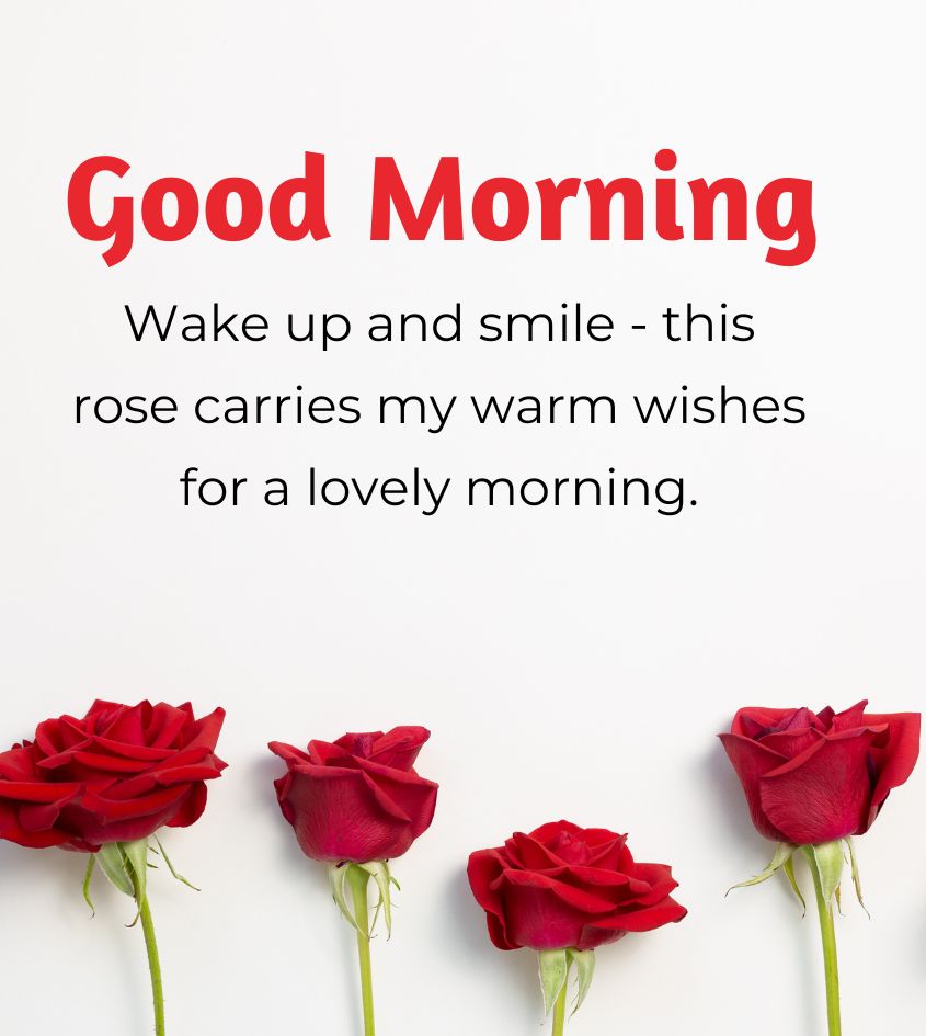 Good Morning Roses Images