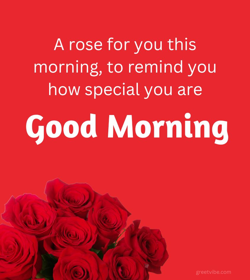 Good Morning Roses Images with Romantic Quotes