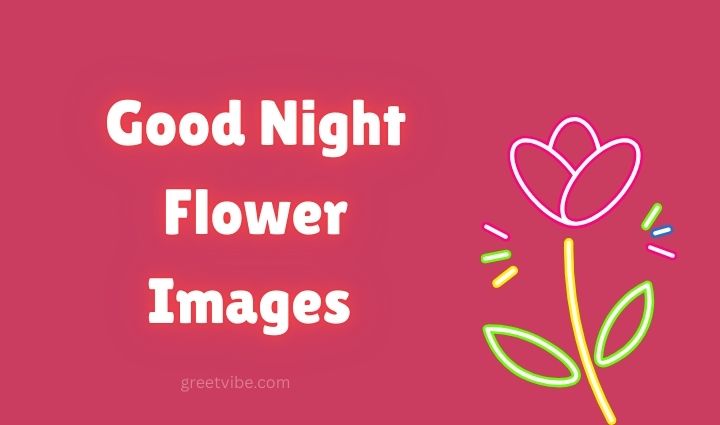 Good Night Flower Images for Status